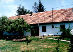 Najstarija kuca u Putnikovu